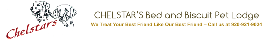CHELSTAR’S Bed and Biscuit Pet Lodge      We Treat Your Best Friend Like Our Best Friend – Call us at 920-921-9024
